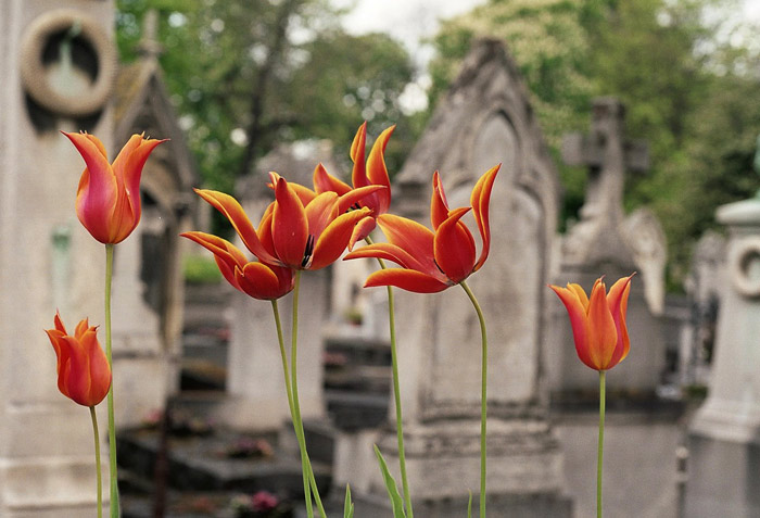 lachaise_oggetto_012.jpg