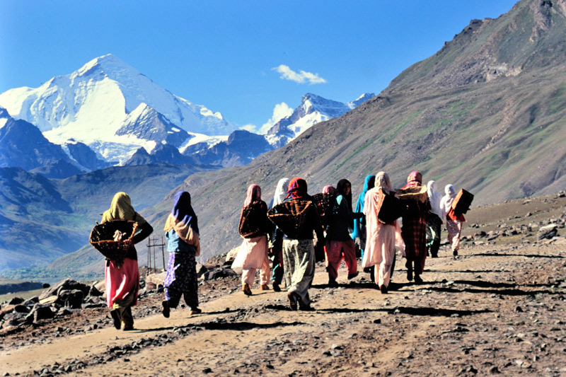 Ladak_18.jpg