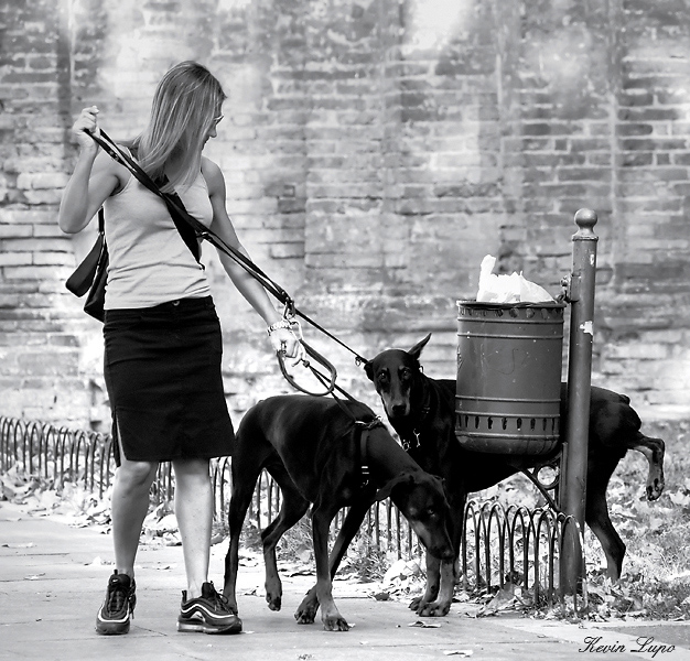 Lady Dobermann.jpg