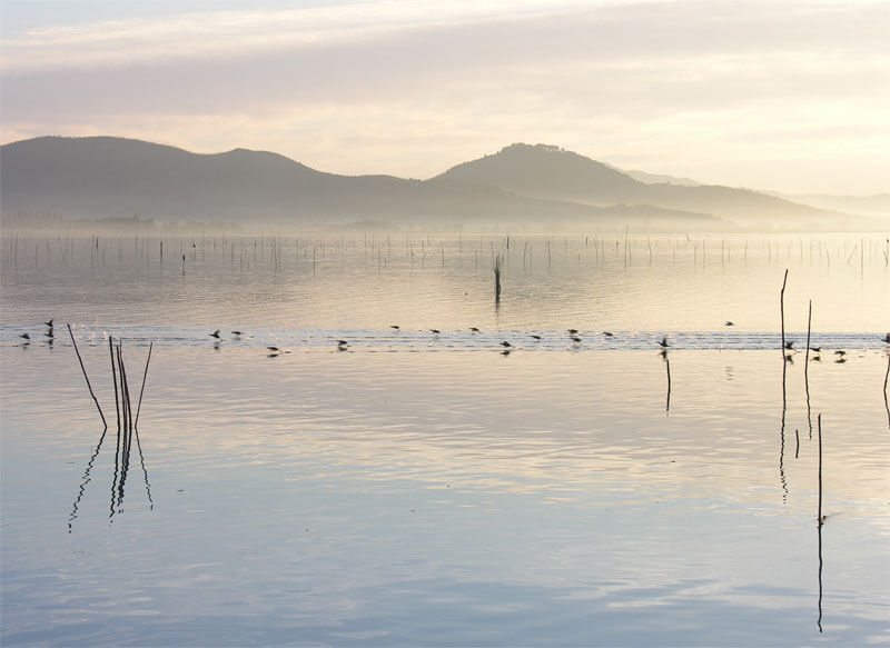 Lago-Trasimeno.jpg
