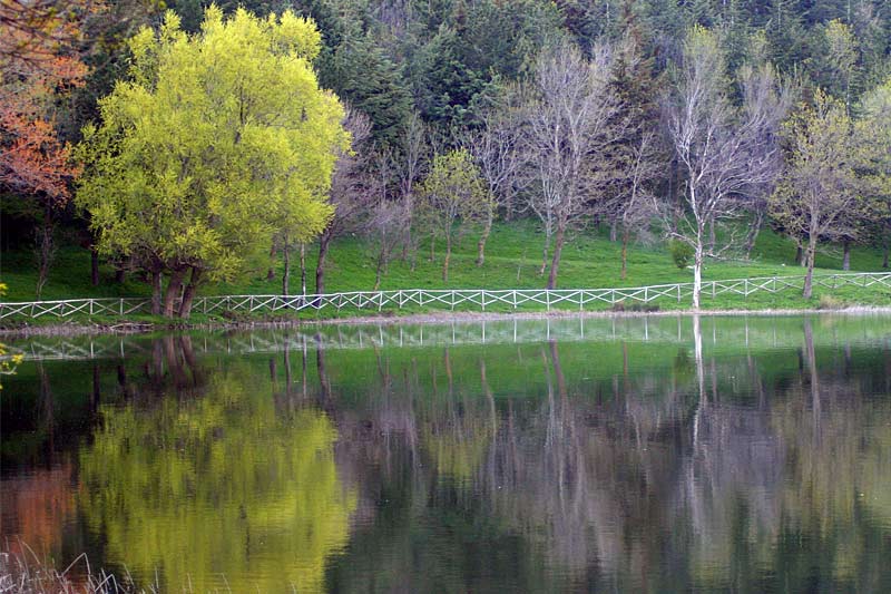 lago00_px.jpg