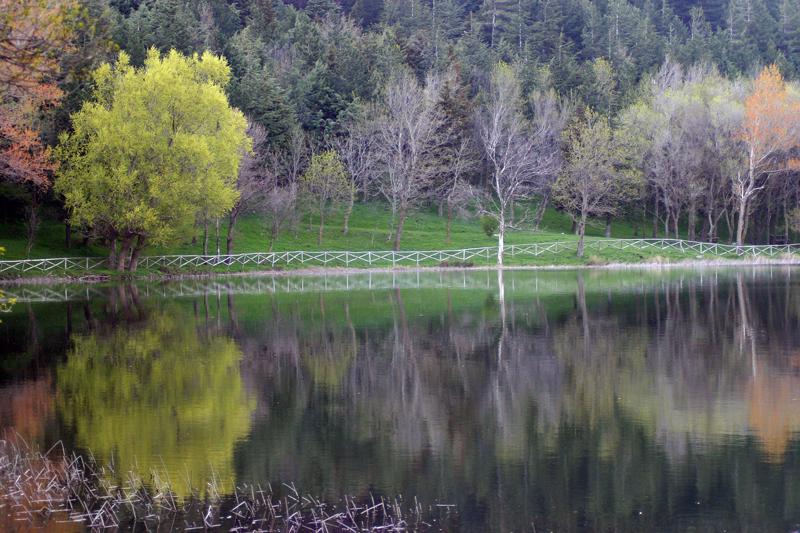lago00_px.jpg