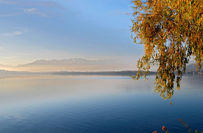 lago2.jpg