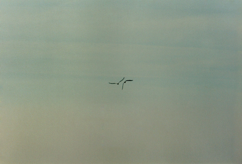 Lago_010.jpg