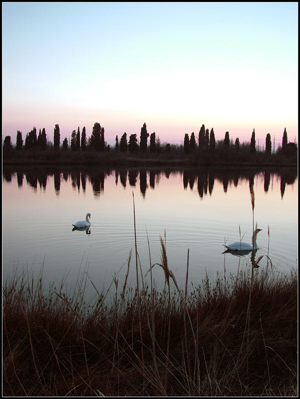 lago_cigni.jpg
