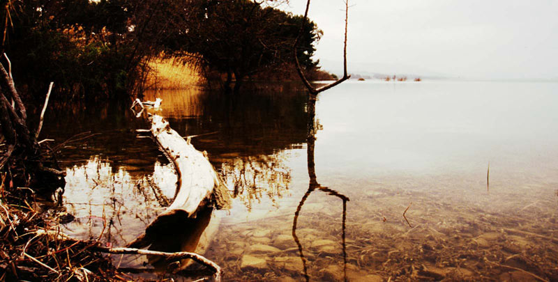lago_diga4_pan.jpg