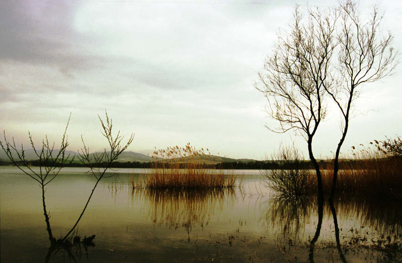 lago_diga.jpg