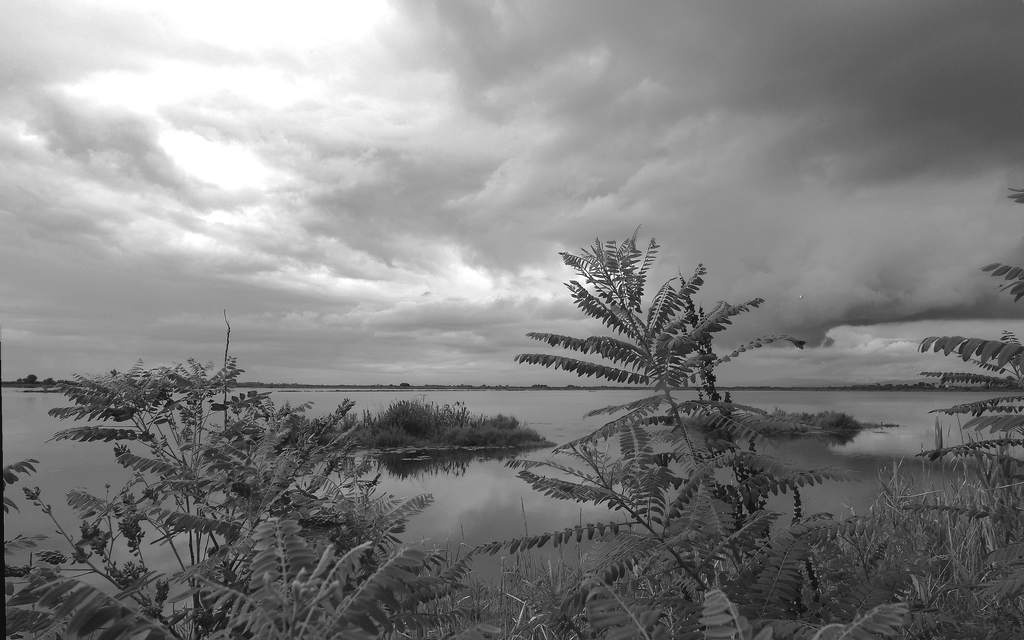 laguna.jpg