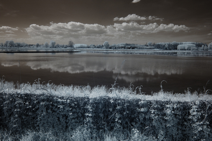 lake.jpg