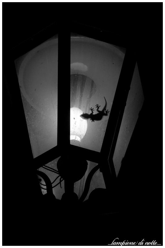 lampione.jpg