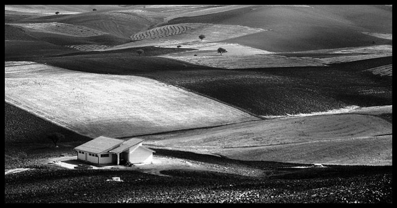 land-3.jpg