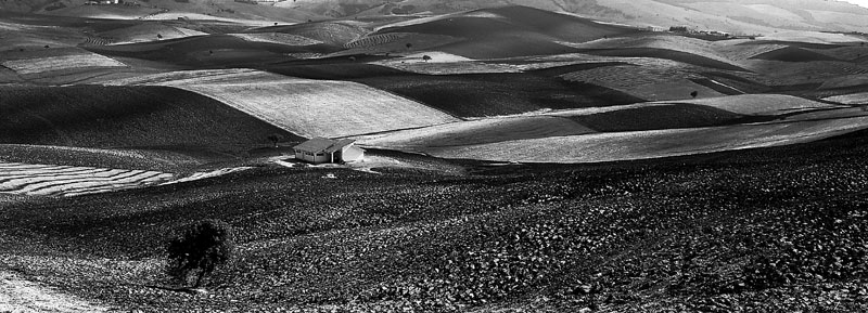 land-4.jpg