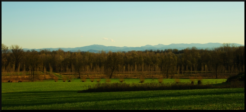 landscape2rv3.jpg