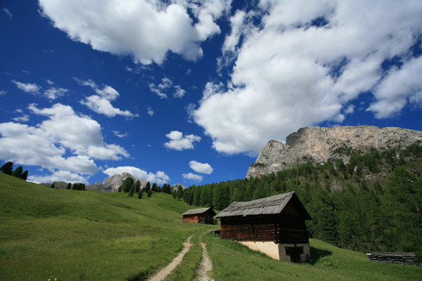 landscape.jpg