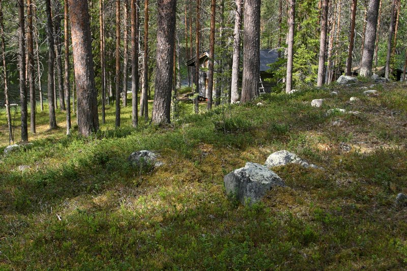 Lapponia_555.jpg