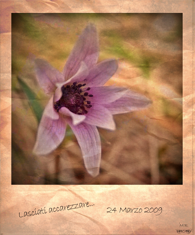 lasciati-accarezzare-200_191_zm29.jpg