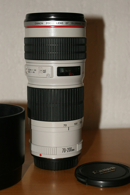 lato-web.jpg