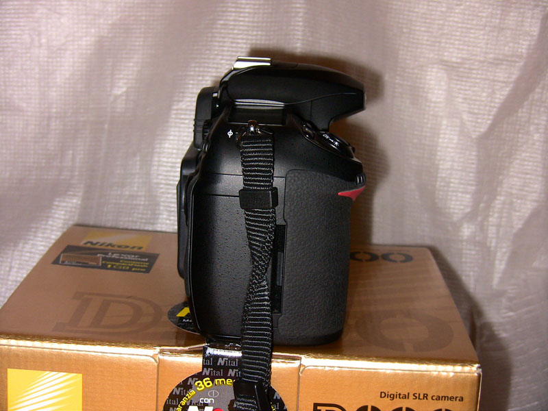 Lato DX.jpg