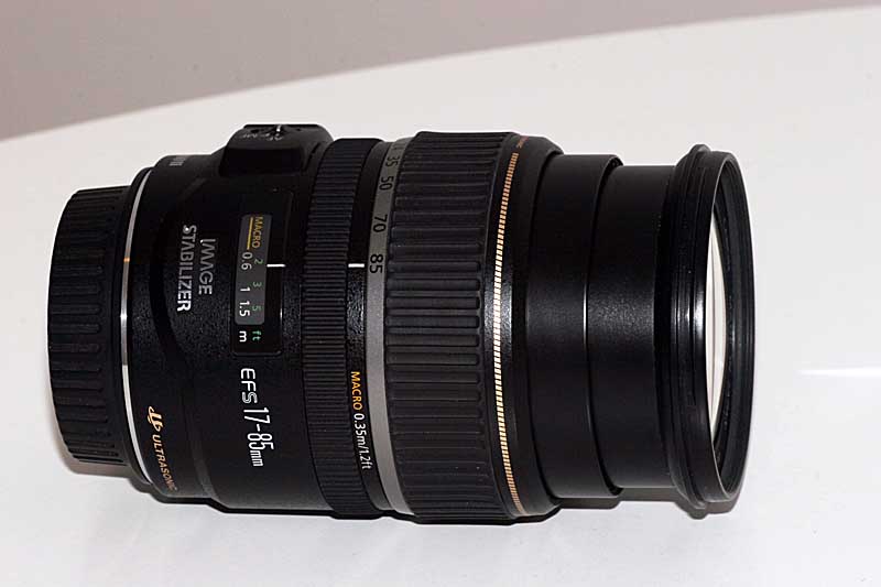 lato front.jpg
