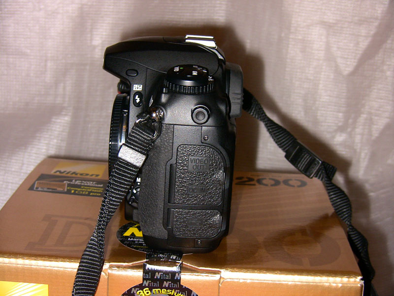 Lato SX.jpg