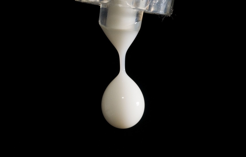 latte web.jpg