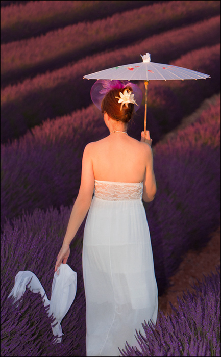 lavanda.jpg