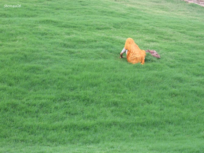 LAVORO NEI CAMPI.jpg