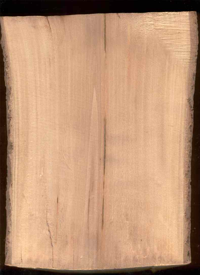Legno4.jpg