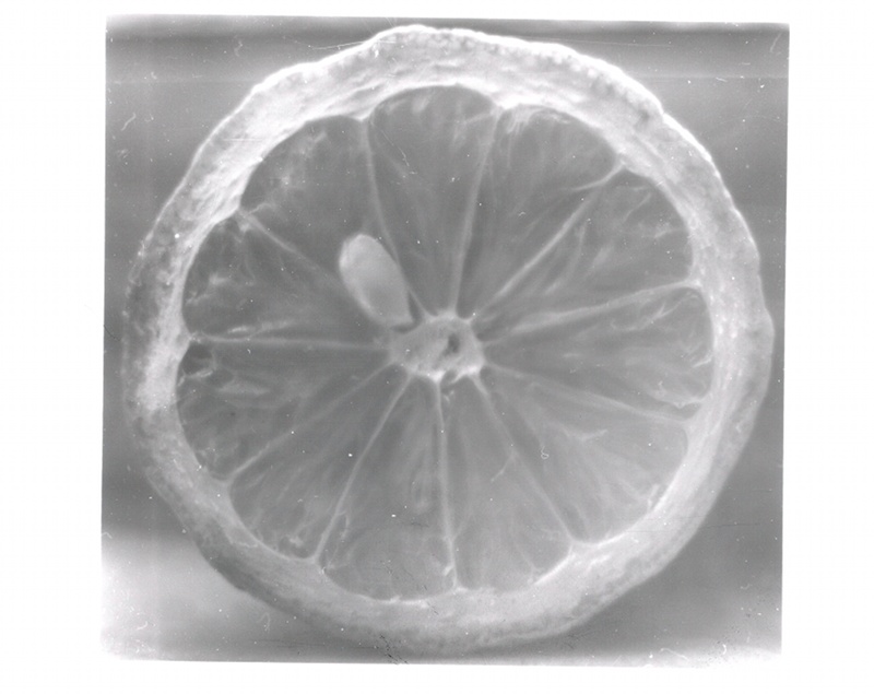 lemon_800.jpg
