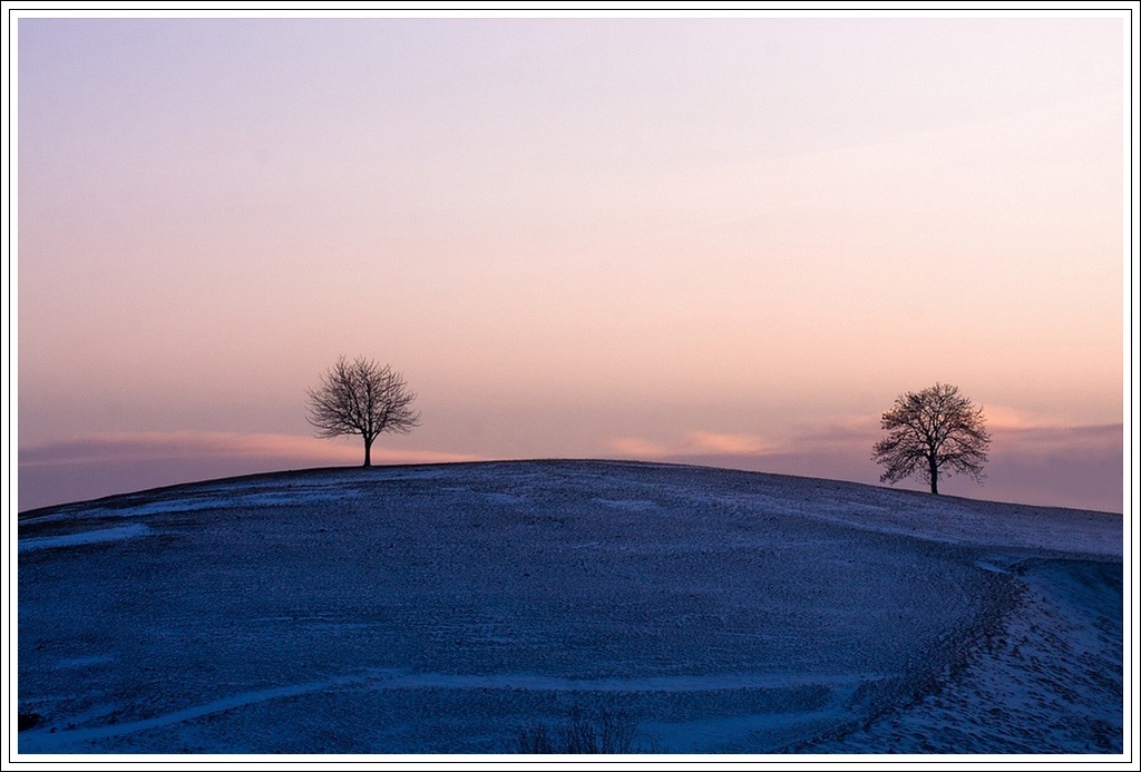 Lessinia-in-rosa 200 kb.jpg