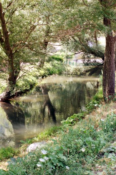letino (Medium).jpg