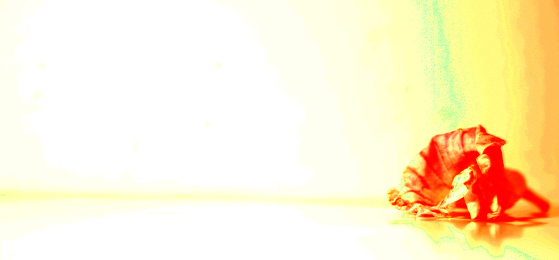 life01.jpg