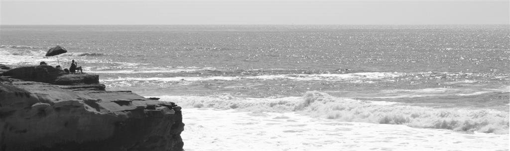 lifeguard1 (Custom)1.jpg