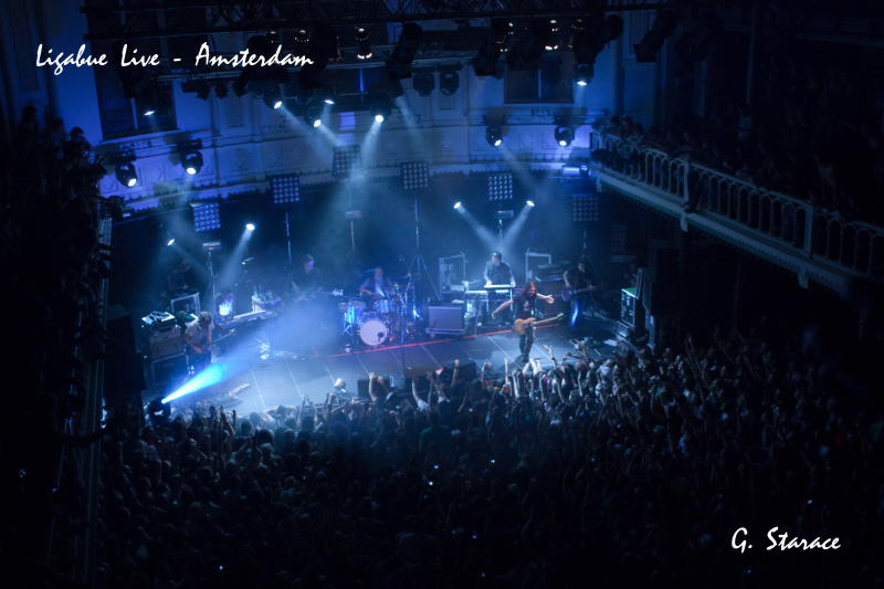 LigaLive09.JPG