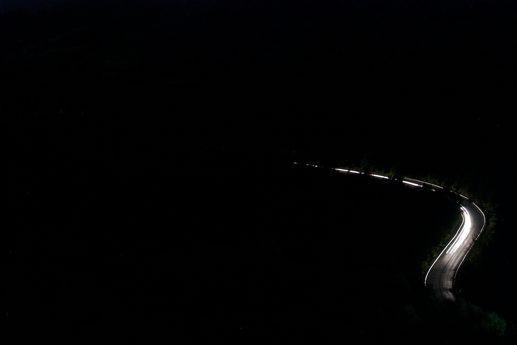 light_snake2.jpg