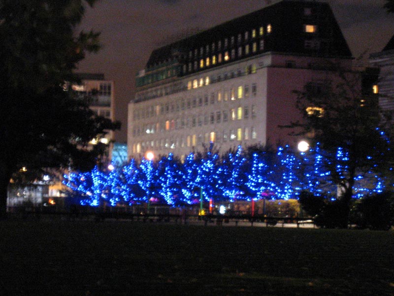lights.jpg