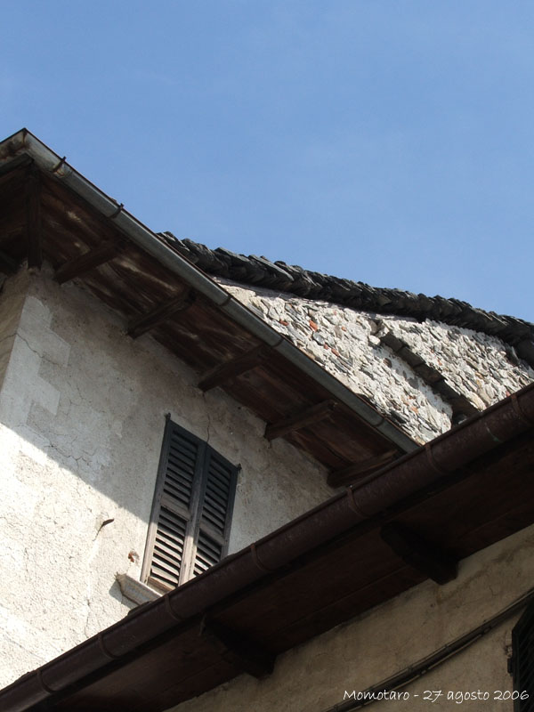 linee - 2.jpg