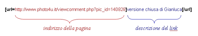 link.jpg
