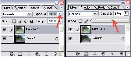 livelli.jpg