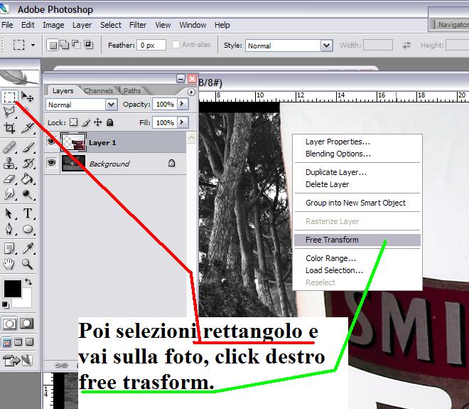 Livelli#2.JPG