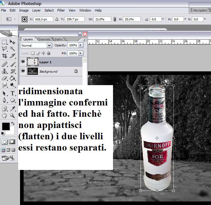 Livelli#3.jpg