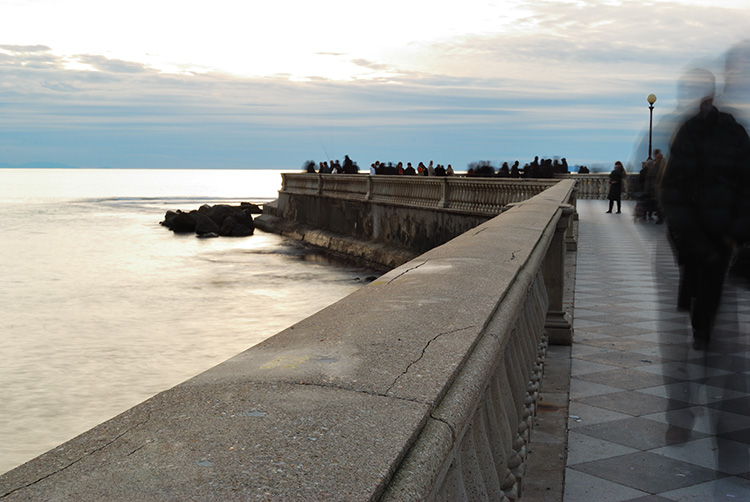 Livorno_0013.jpg