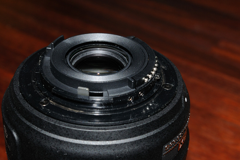 LMB_7252small.jpg