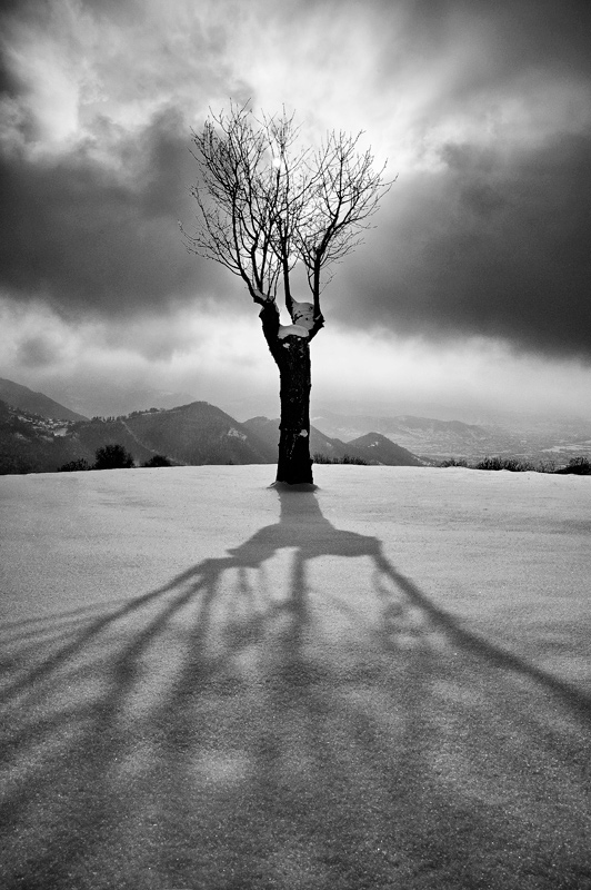 Lo-spirito-dell'inverno-intb.jpg