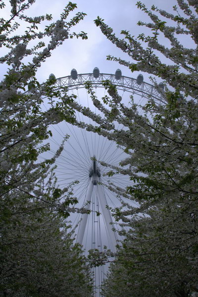 londra_09_062_resize.jpg