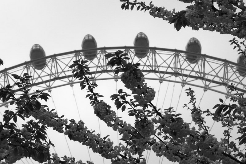 londra_09_064_resize.jpg