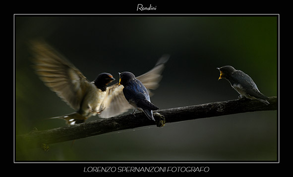 LOR5645xx.jpg