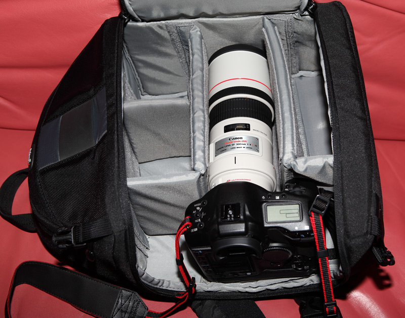 Lowepro-300_8.jpg