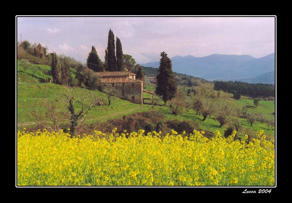 Lucca_01.jpg