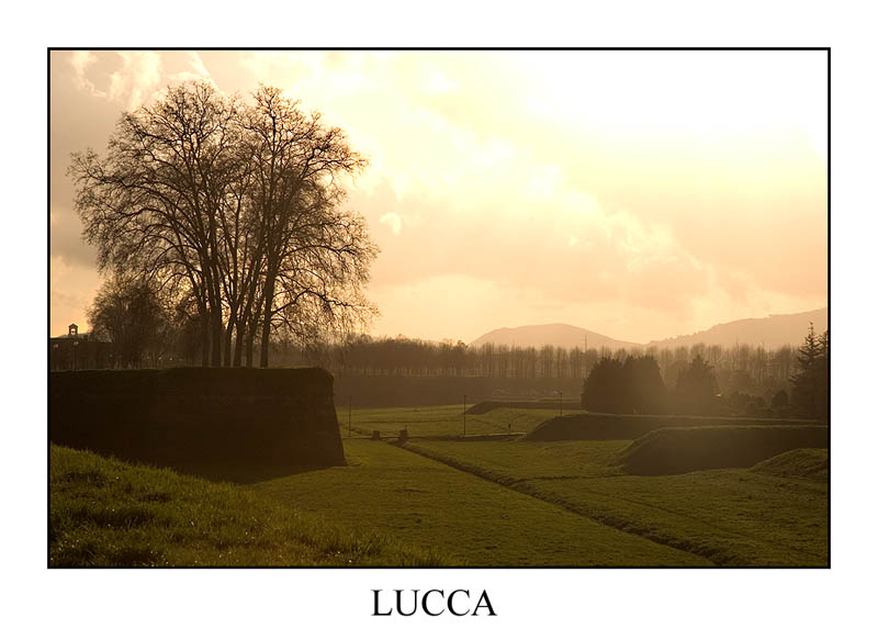 LUCCA_20.jpg